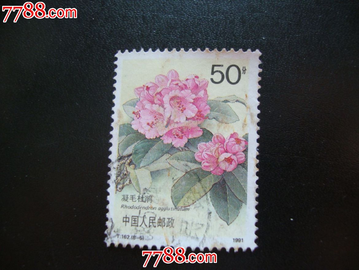 t162-新中国邮票--se32947043-零售-7788收藏__收藏热线